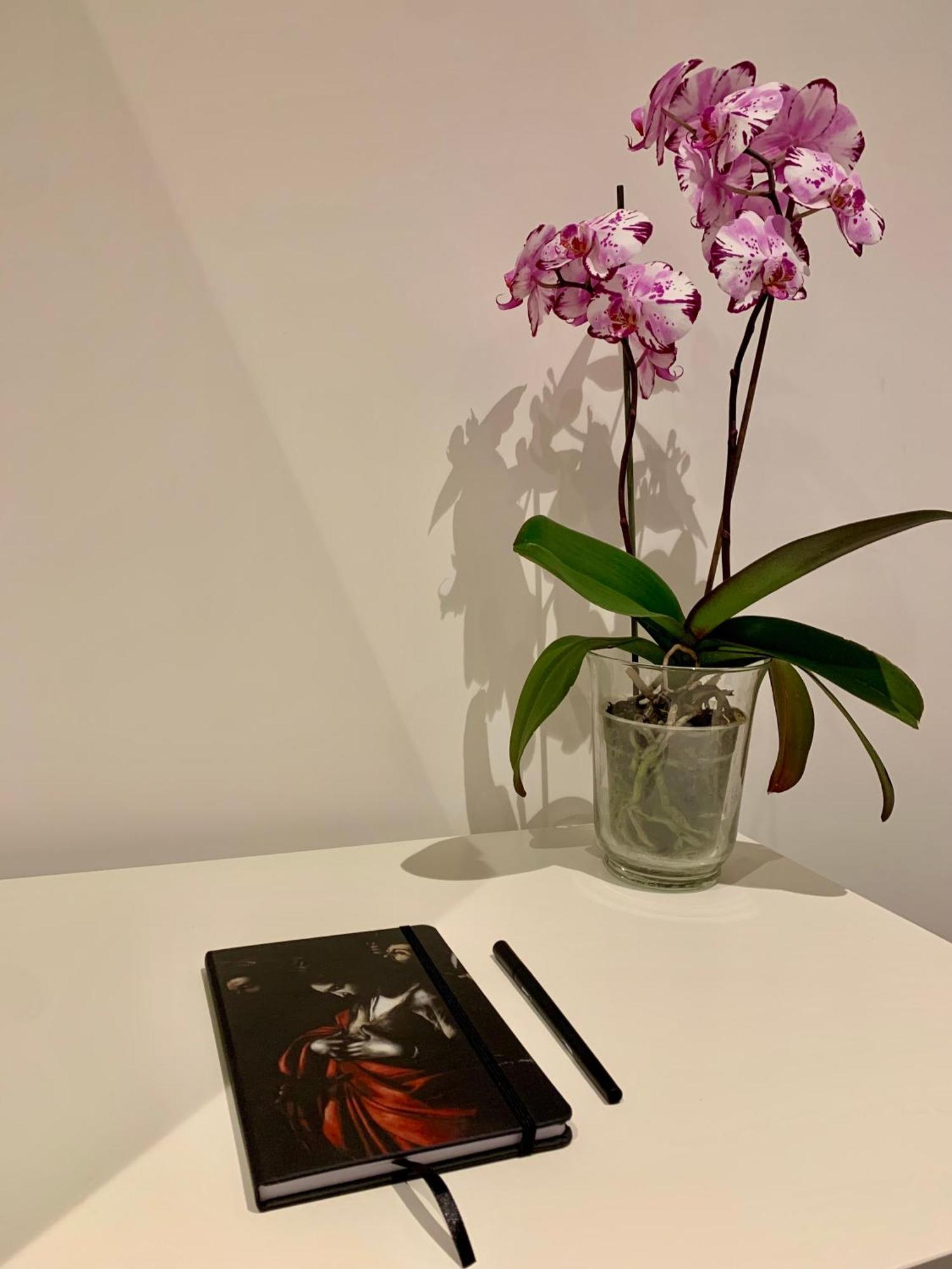 Residenza D'Artista Al Conservatorio Salerno Eksteriør bilde